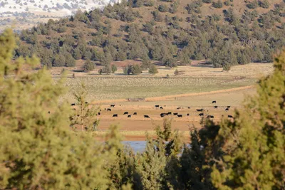 DSC_3041 (Large).JPG